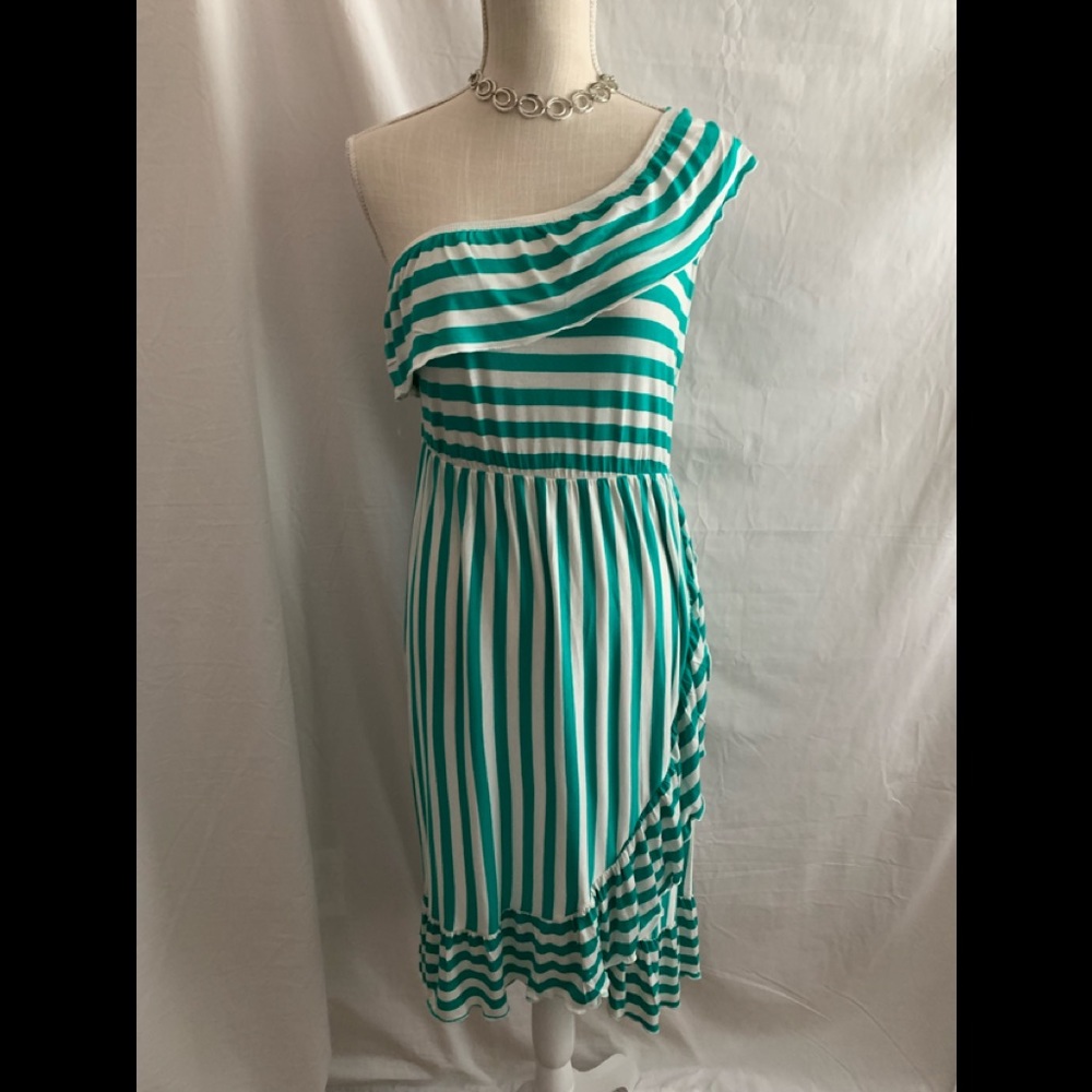 NWOT Women’s Knee Length Jade and White Striped Dress Large